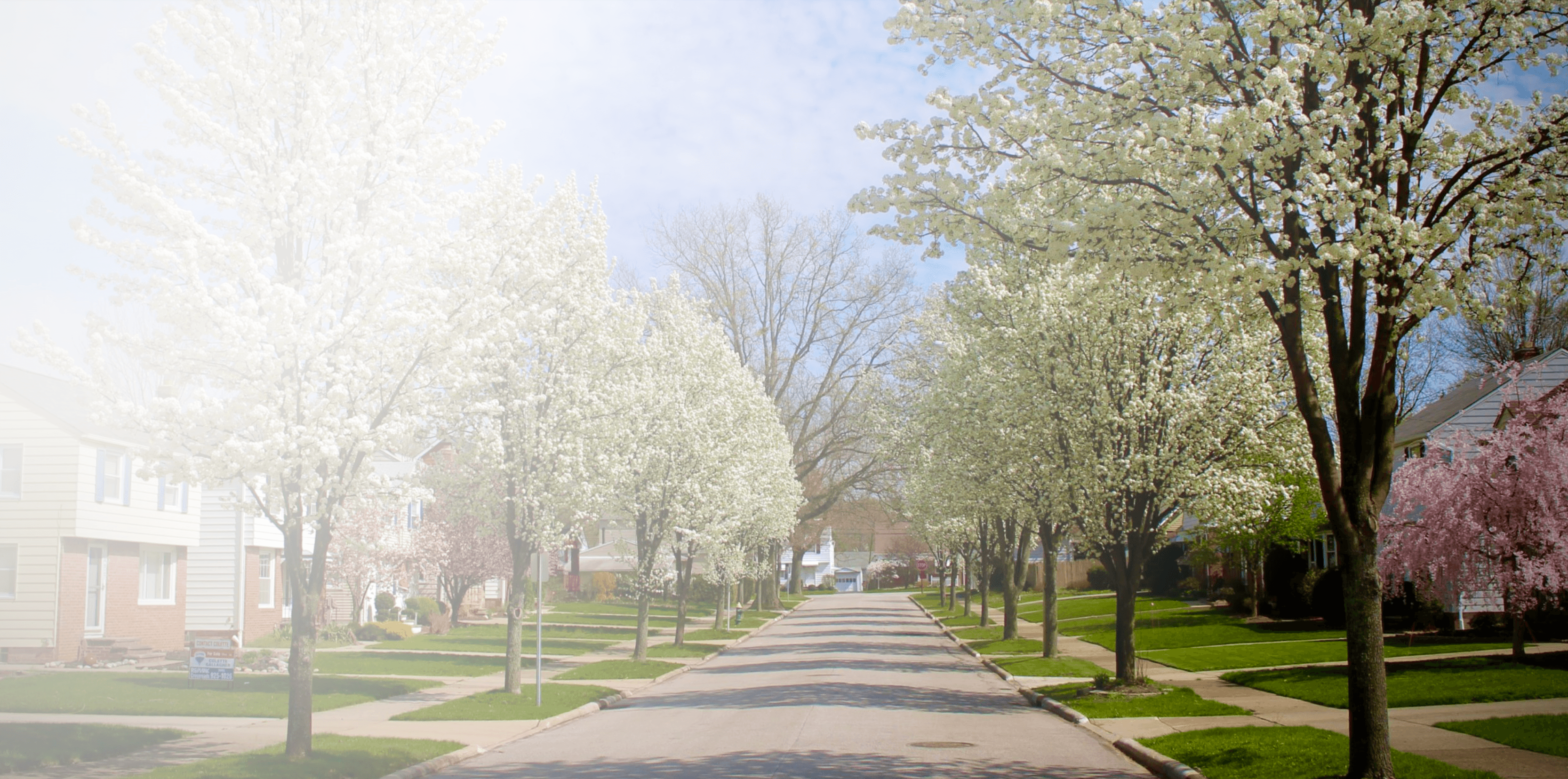 South Euclid Ohio neighborhood